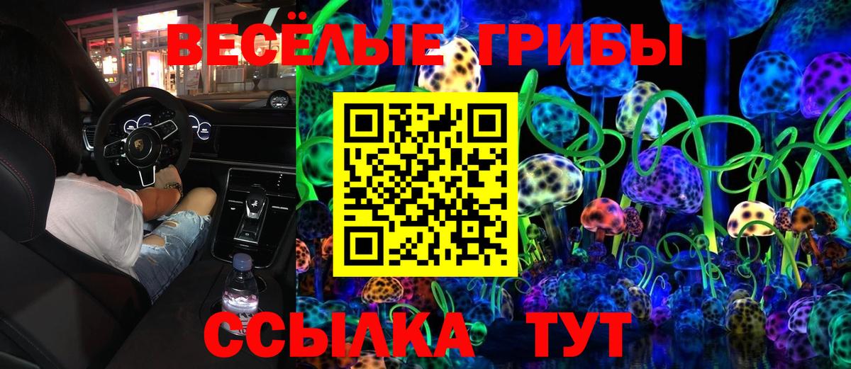 магазин продажи   Вход с VPN  Богородицк  Псилоцибиновые грибы Psilocybine cubensis 